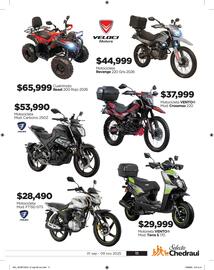 Folleto Chedraui Página 11