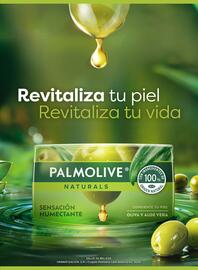 Folleto Chedraui Página 11