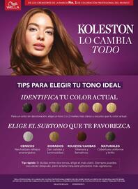 Folleto Chedraui Página 31