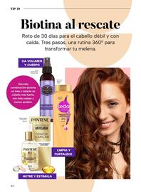 Folleto Chedraui Página 42