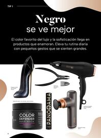 Folleto Chedraui Página 6