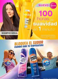 Folleto Chedraui Página 85