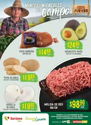 Catálogo Soriana Súper (válido hasta 6-11)