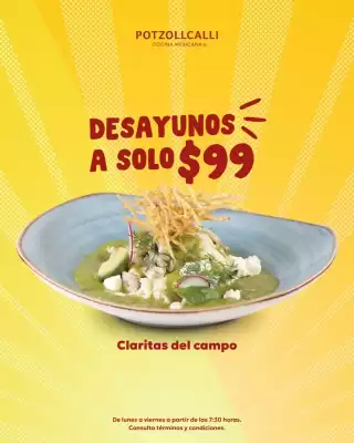 Catálogo Potzollcalli (válido hasta 30-11)