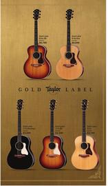 Long & McQuade flyer Page 13