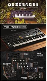 Long & McQuade flyer Page 156