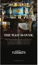 Long & McQuade flyer Page 166