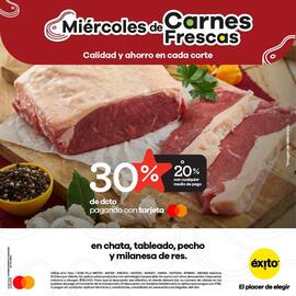 Catálogo Éxito Página 1