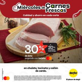 Catálogo Éxito Página 2