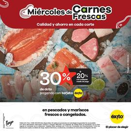 Catálogo Éxito Página 3