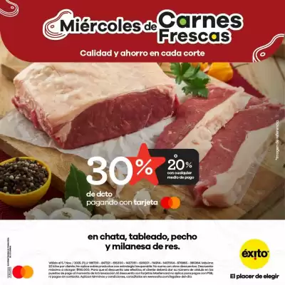 Catálogo Éxito (válido hasta 5-11)