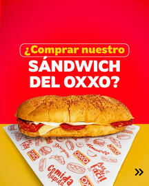Catálogo Oxxo semana 45 Página 3