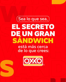 Catálogo Oxxo semana 45 Página 5