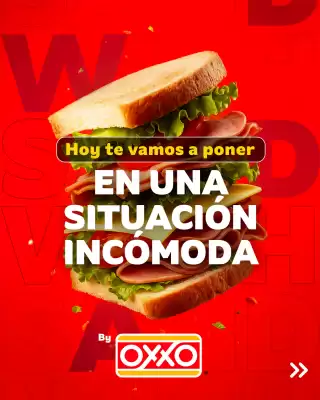 Catálogo Oxxo (válido hasta 10-11)