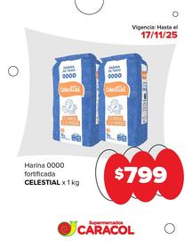 Catálogo Supermercados Caracol Página 3