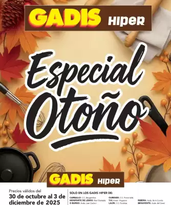 Folleto Gadis (válido hasta el 3-12)