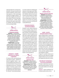 Hebe gazetka Strona 139