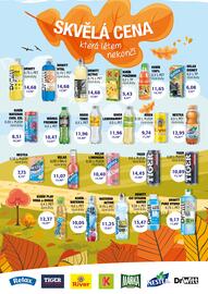 ČEPOS leták Strana 5