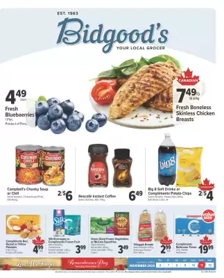 Bidgood's flyer (valid until 12-11)