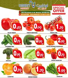 Ugarit Market flyer week 45 Page 2