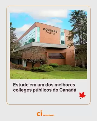 Catálogo CI (válido até 10-11)