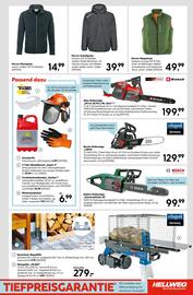 Hellweg Prospekt woche 45 Seite 15