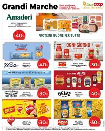 Volantino Coop Master Alleanza 3.0 Pagina 2