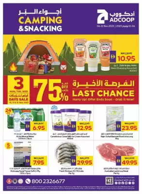 Abu Dhabi Coop leaflet (valid until 12-11)