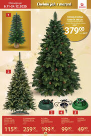 Selgros gazetka Strona 20