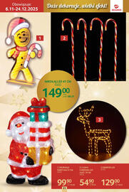 Selgros gazetka Strona 31