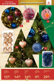 Selgros gazetka Strona 41