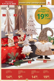 Selgros gazetka Strona 49