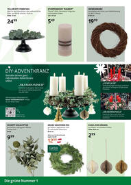 Bellaflora Flugblatt Seite 2