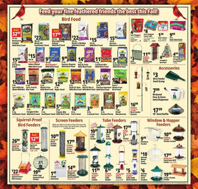 Ocean State Job Lot flyer week 45 Page 18