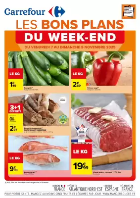 Catalogue Carrefour (valable jusqu'au 9-11)