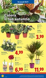 Volantino Lidl settimana 46 Pagina 34