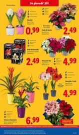 Volantino Lidl settimana 46 Pagina 35