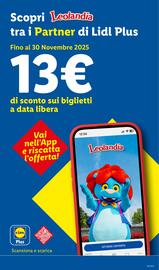 Volantino Lidl settimana 46 Pagina 47