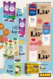 Folleto Gadis semana 45 Página 15