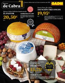 Folleto Gadis Página 12