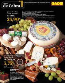 Folleto Gadis Página 13