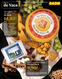 Folleto Gadis Página 14