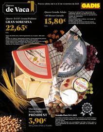 Folleto Gadis Página 15