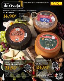 Folleto Gadis Página 7