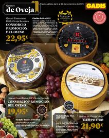 Folleto Gadis Página 9