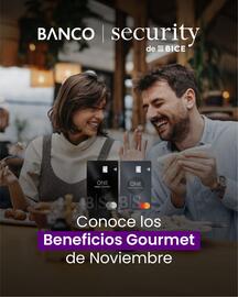 Catálogo Banco Security Página 1