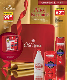 Biedronka gazetka Strona 13