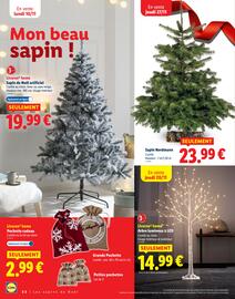 Catalogue Lidl | Pour des fêtes étincelantes page 22
