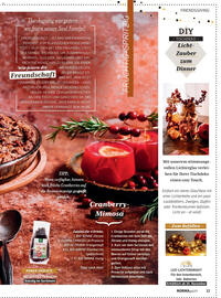 Norma Prospekt Seite 11