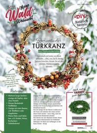 Norma Prospekt Seite 13